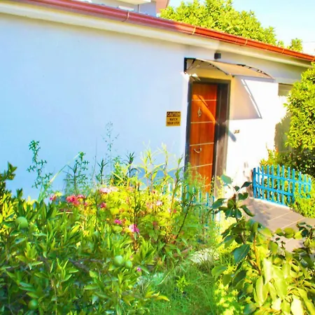 別荘 Aloanda Holiday House With Swimming Pool フェティエ