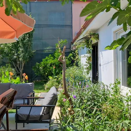 別荘 Aloanda Holiday House With Swimming Pool